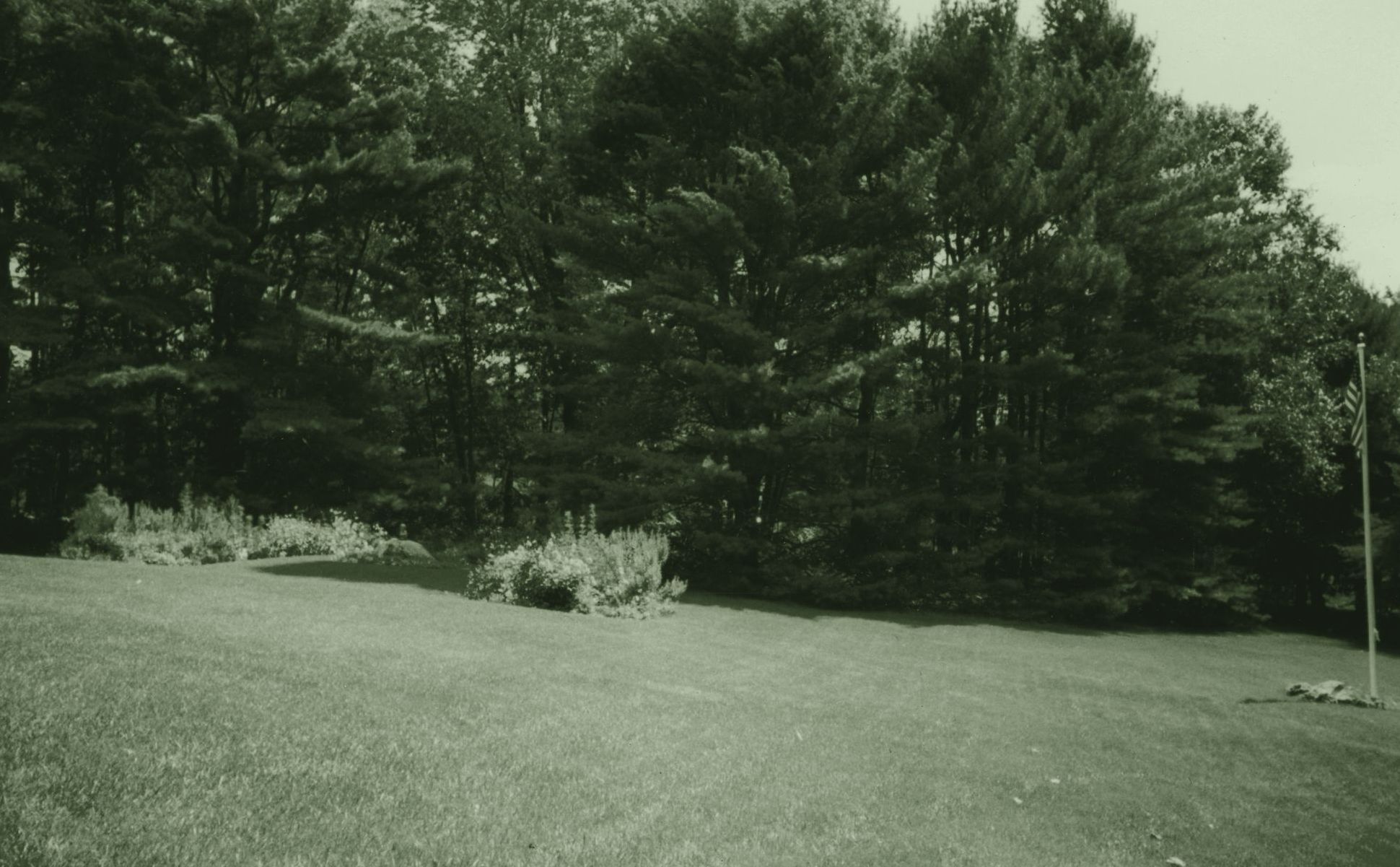 The lawn and pines at Knollwood