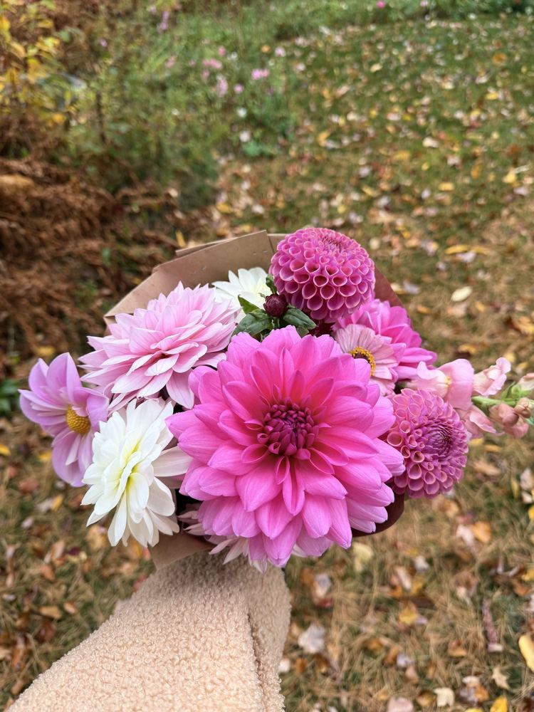 A pink and white bouquet