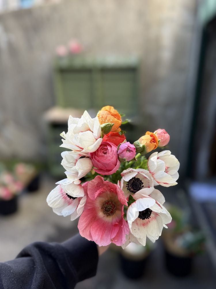 A real Knollwood bouquet from June